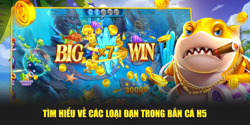 Tìm hiểu về các loại đạn trong bắn cá H5