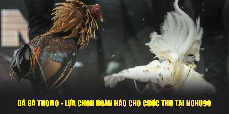 da-ga-thomo-lua-chon-hoan-hao-cho-cuoc-thu-tai-nohu90